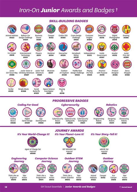 Get these newly updated Award Logs and Badge Charts for each grade level. . Girl scout junior badge descriptions